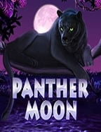 รีวิว เว็บ พนัน ดีๆ กับเกมสล็อตจาก Joker Gaming