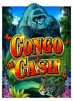 สูตรลับสล็อต xlxoslot69 ที่จะเพิ่มโอกาสชนะของคุณ